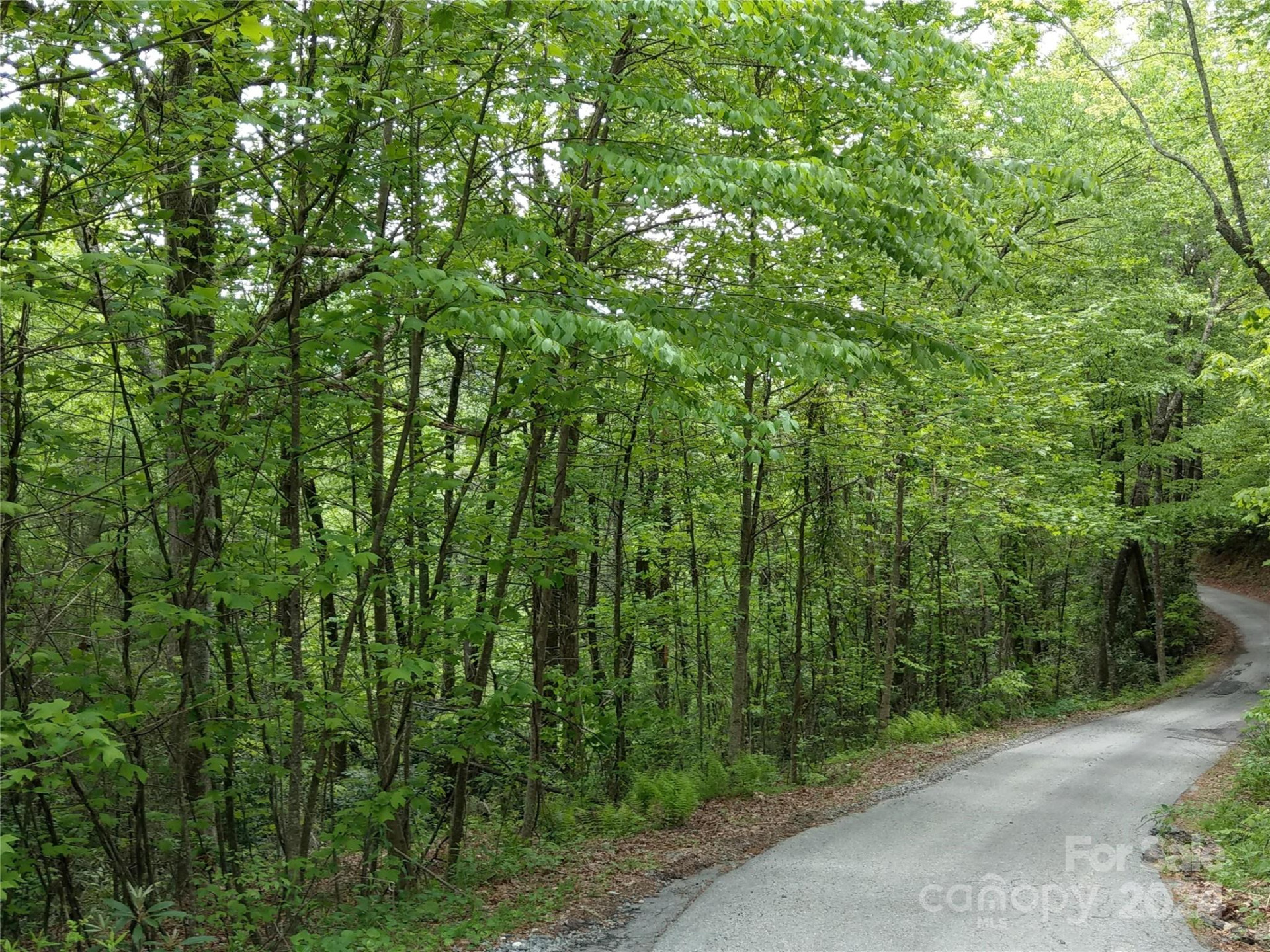 Lot D2 000 Dogwood Lane - Photo 3