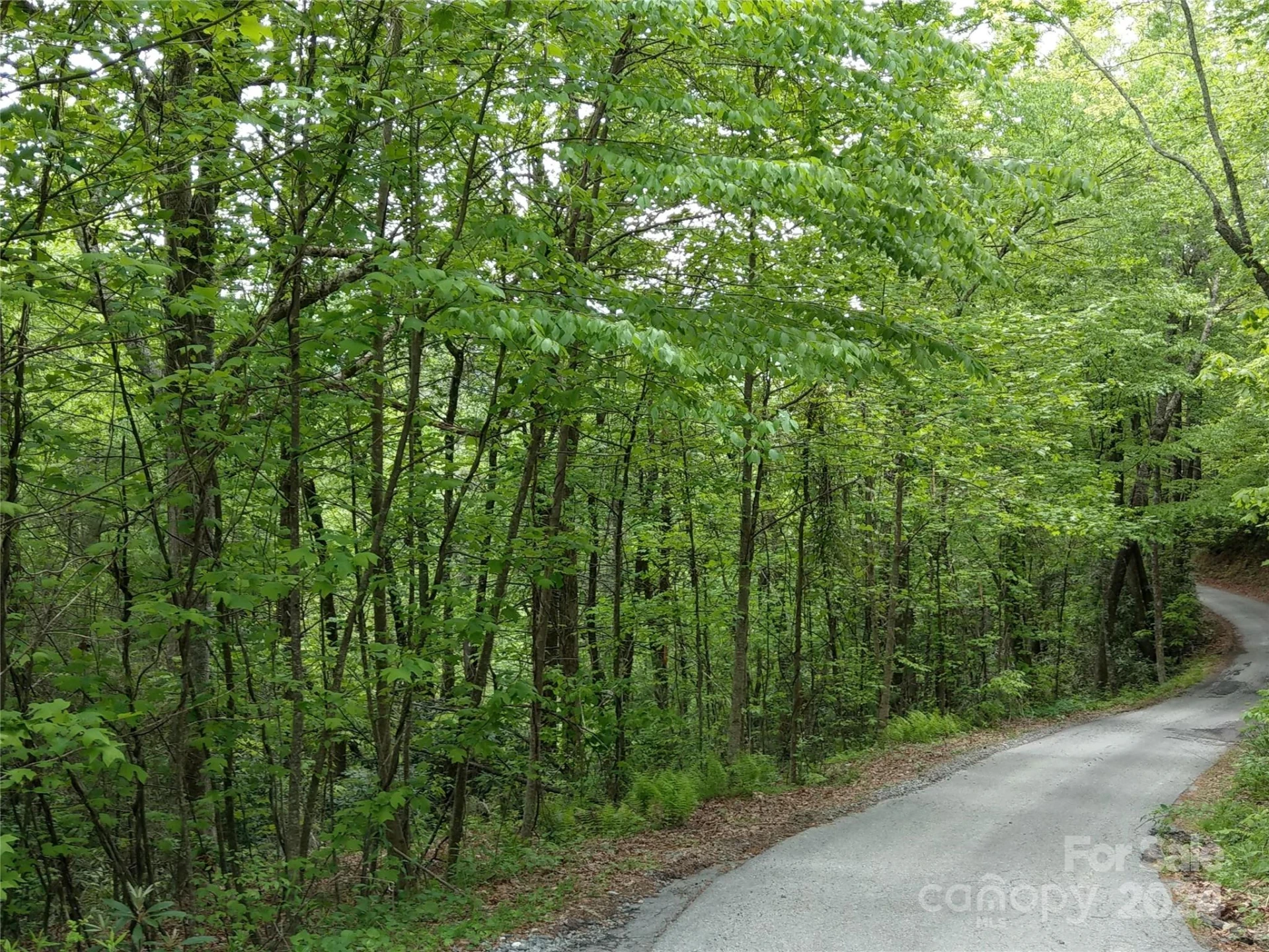 Lot D2 000 Dogwood Lane - Photo 3