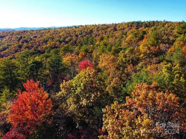 Lot D1 000 Dogwood Lane, Penrose, NC, 28766