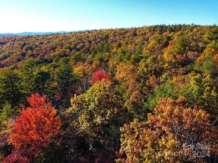 Lot D1 000 Dogwood Lane