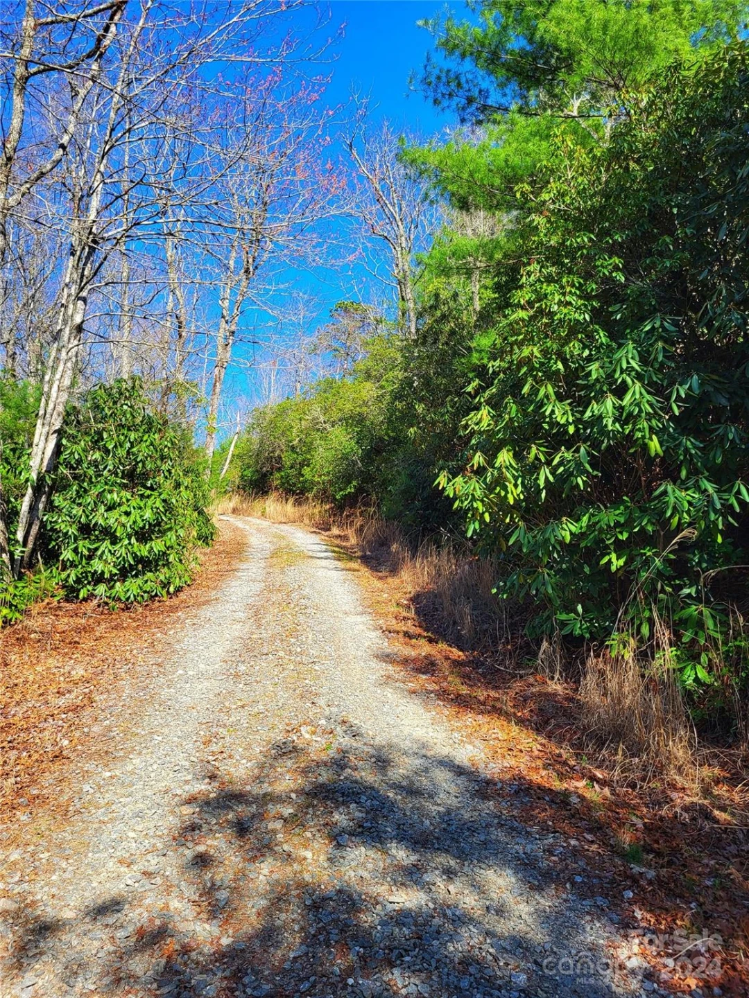 Lot D1 000 Dogwood Lane - Photo 3