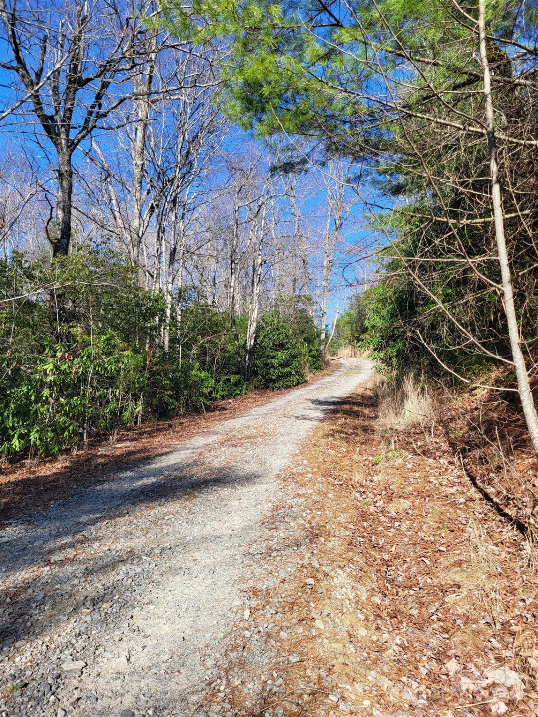 Lot D1 000 Dogwood Lane - Photo 5