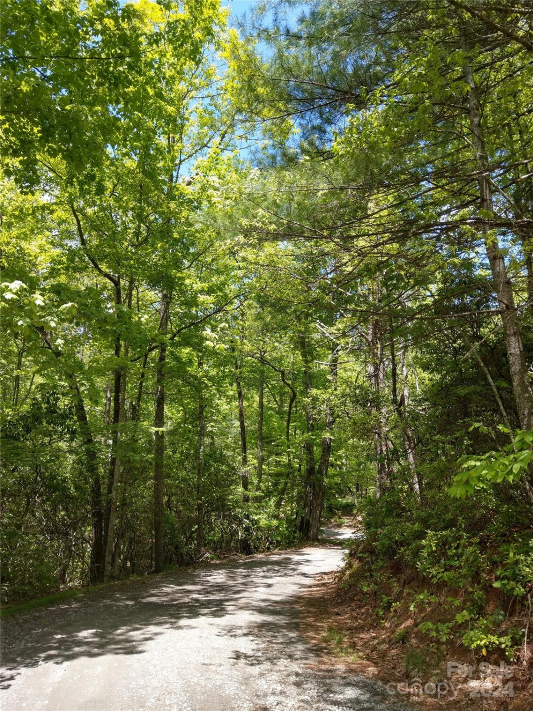 Lot D1 000 Dogwood Lane - Photo 6