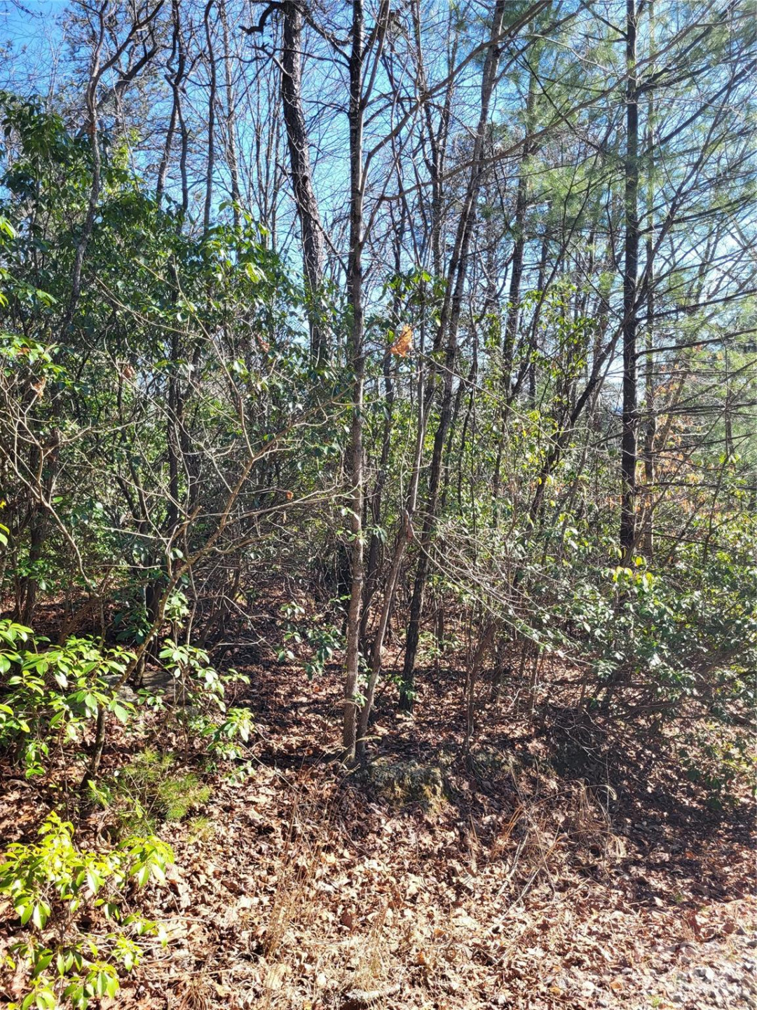 Lot D1 000 Dogwood Lane - Photo 7