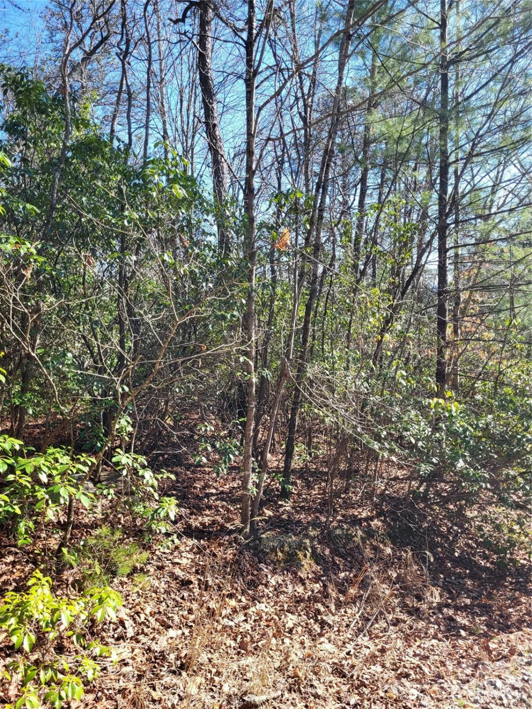 Lot D1 000 Dogwood Lane - Photo 7