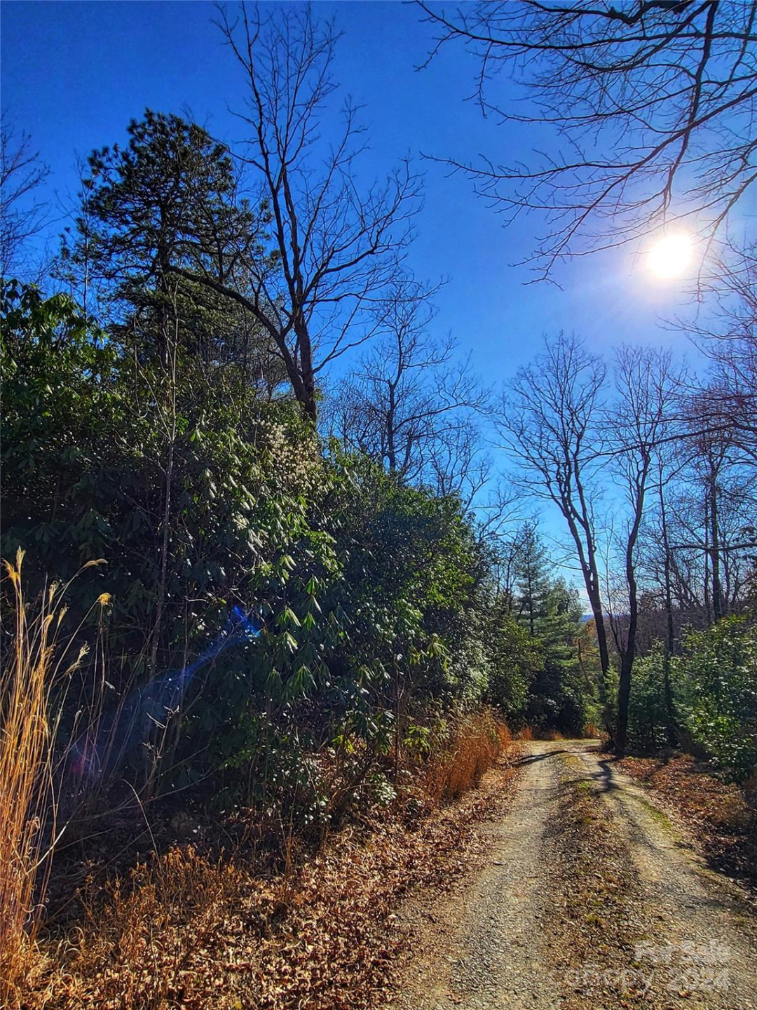 Lot D1 000 Dogwood Lane - Photo 8