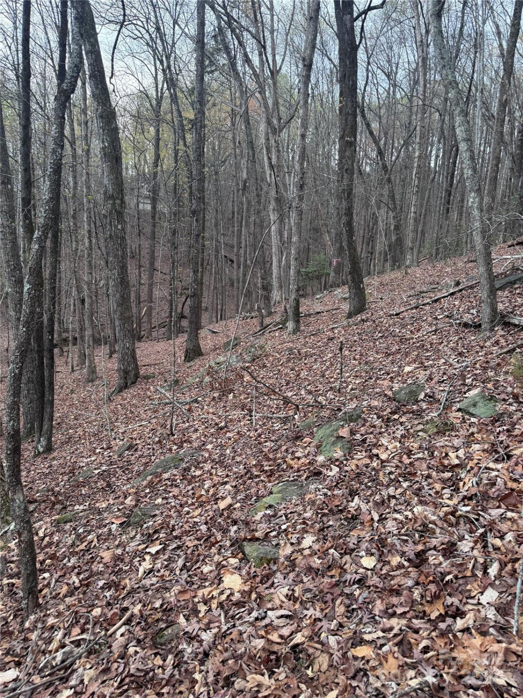 0 Wilkerson Court #16 - Photo 2