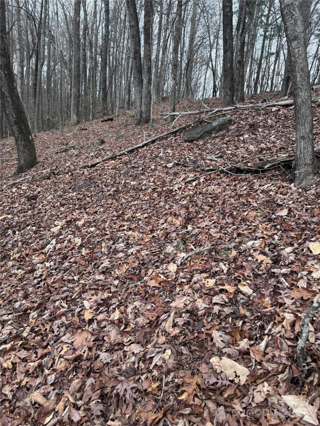 0 Wilkerson Court #16 - Photo 11