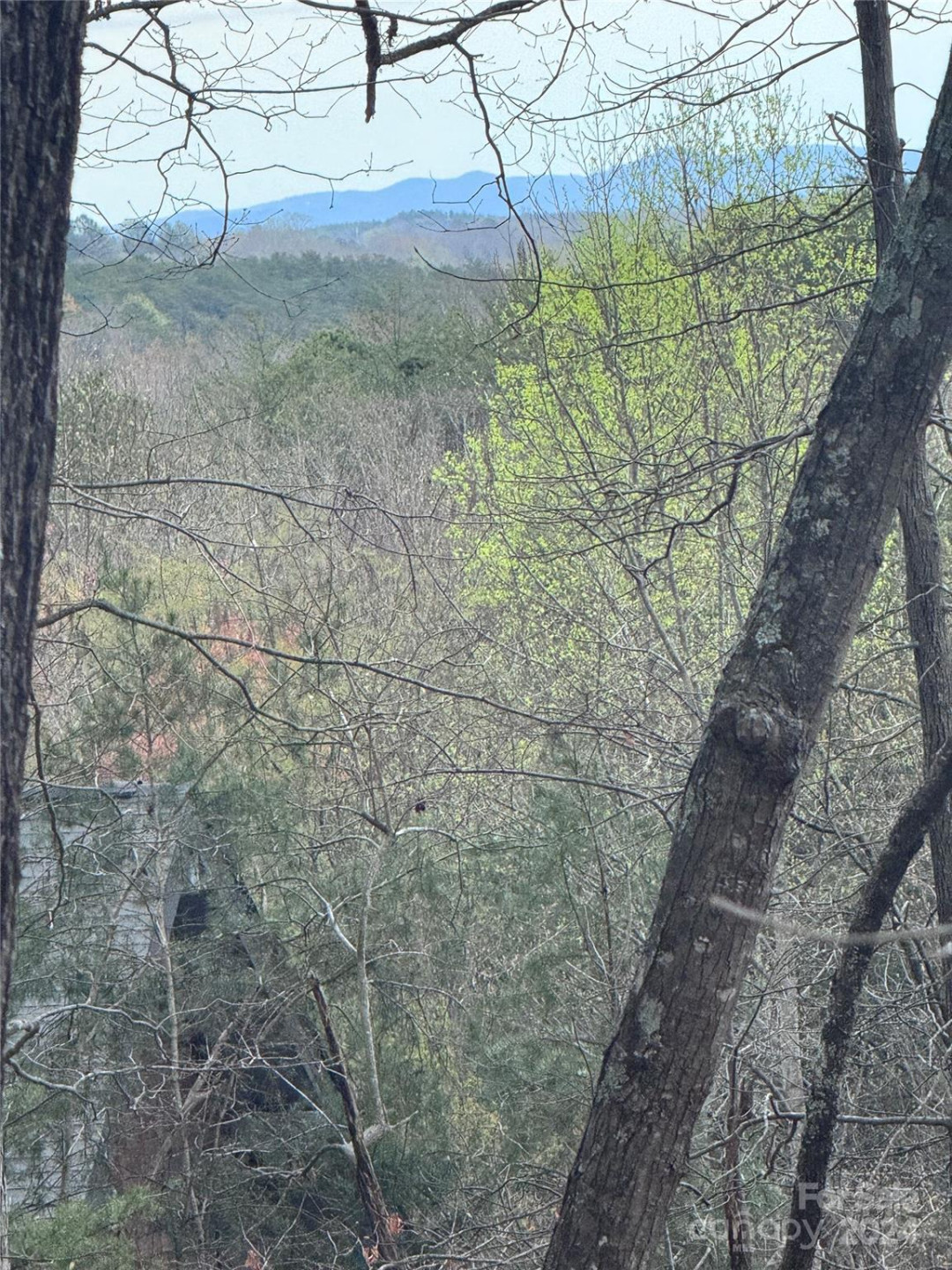 0 Wilkerson Court #16 - Photo 12