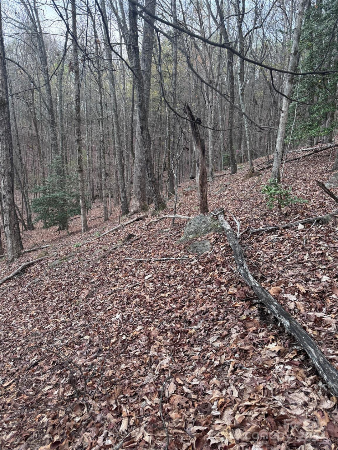 0 Wilkerson Court #16 - Photo 3