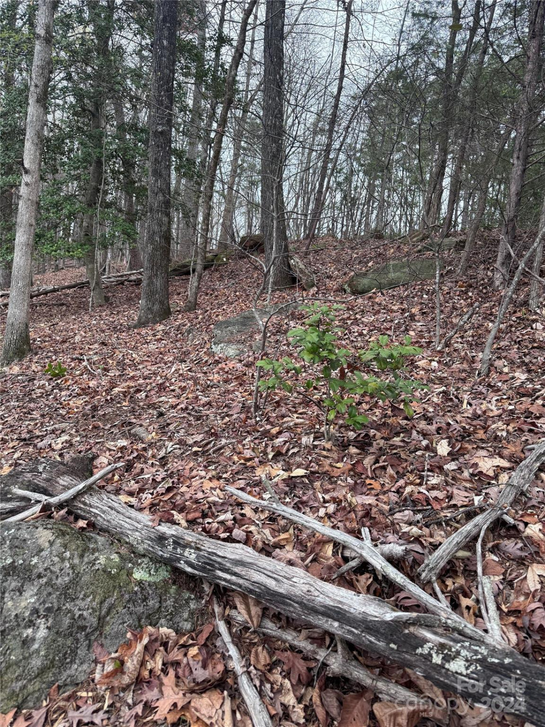 0 Wilkerson Court #16 - Photo 4