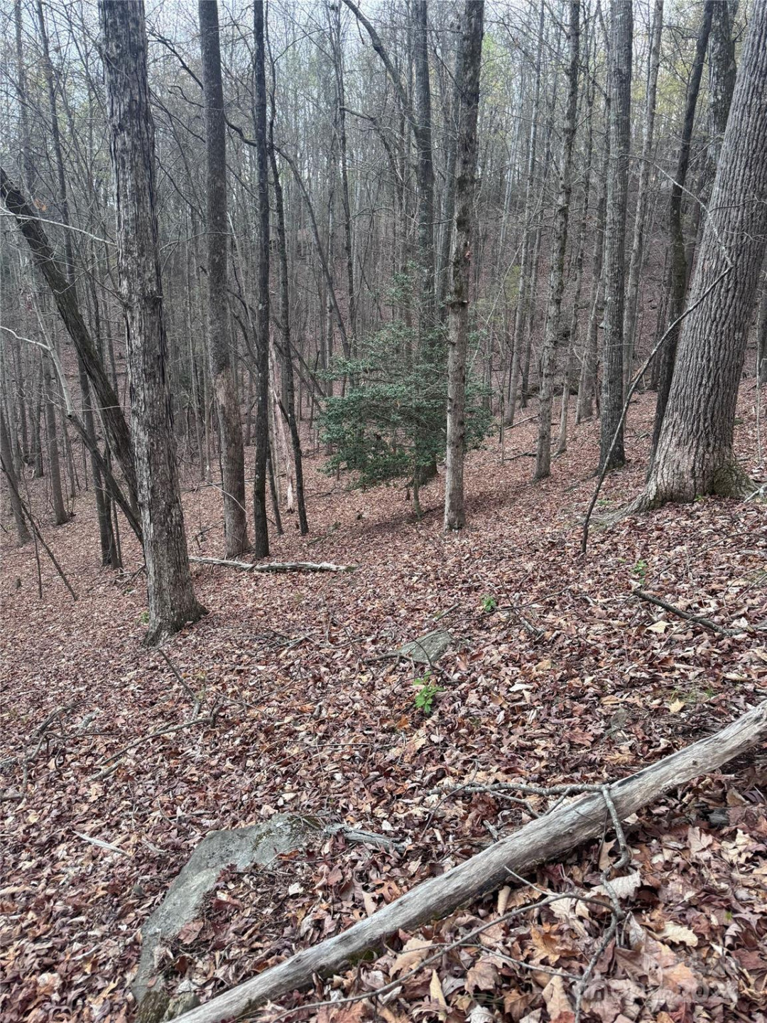 0 Wilkerson Court #16 - Photo 6