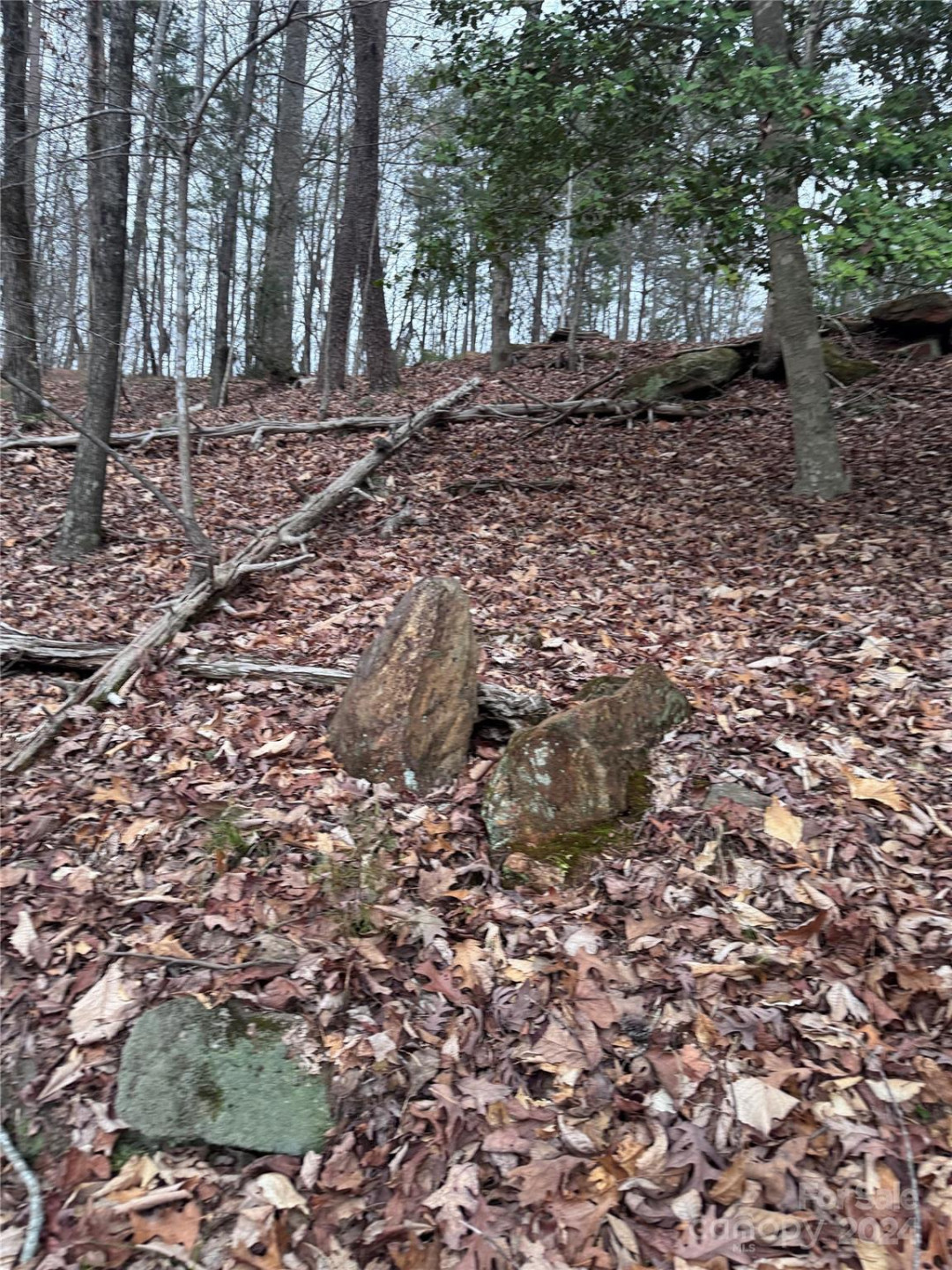 0 Wilkerson Court #16 - Photo 7