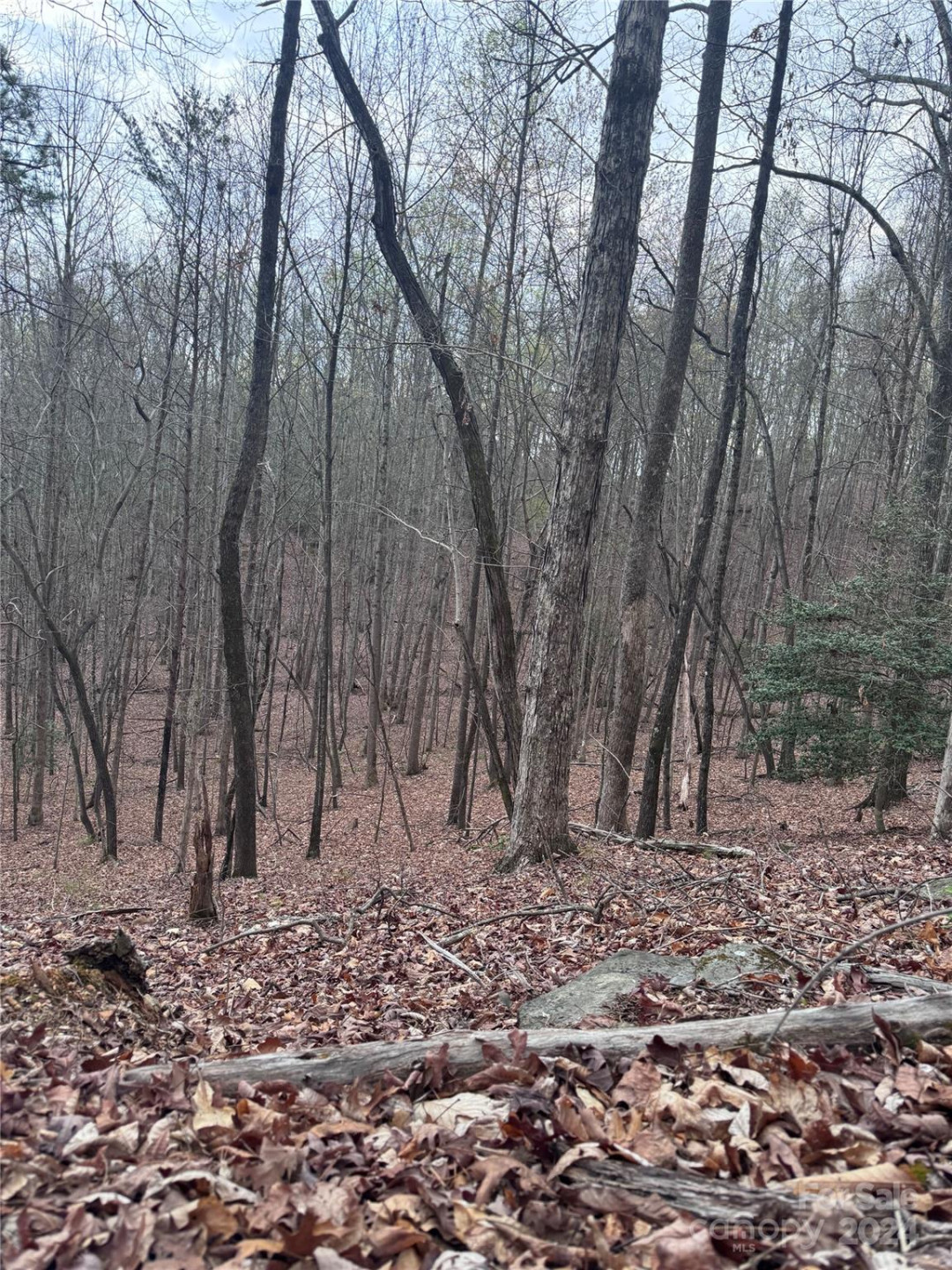 0 Wilkerson Court #16 - Photo 9