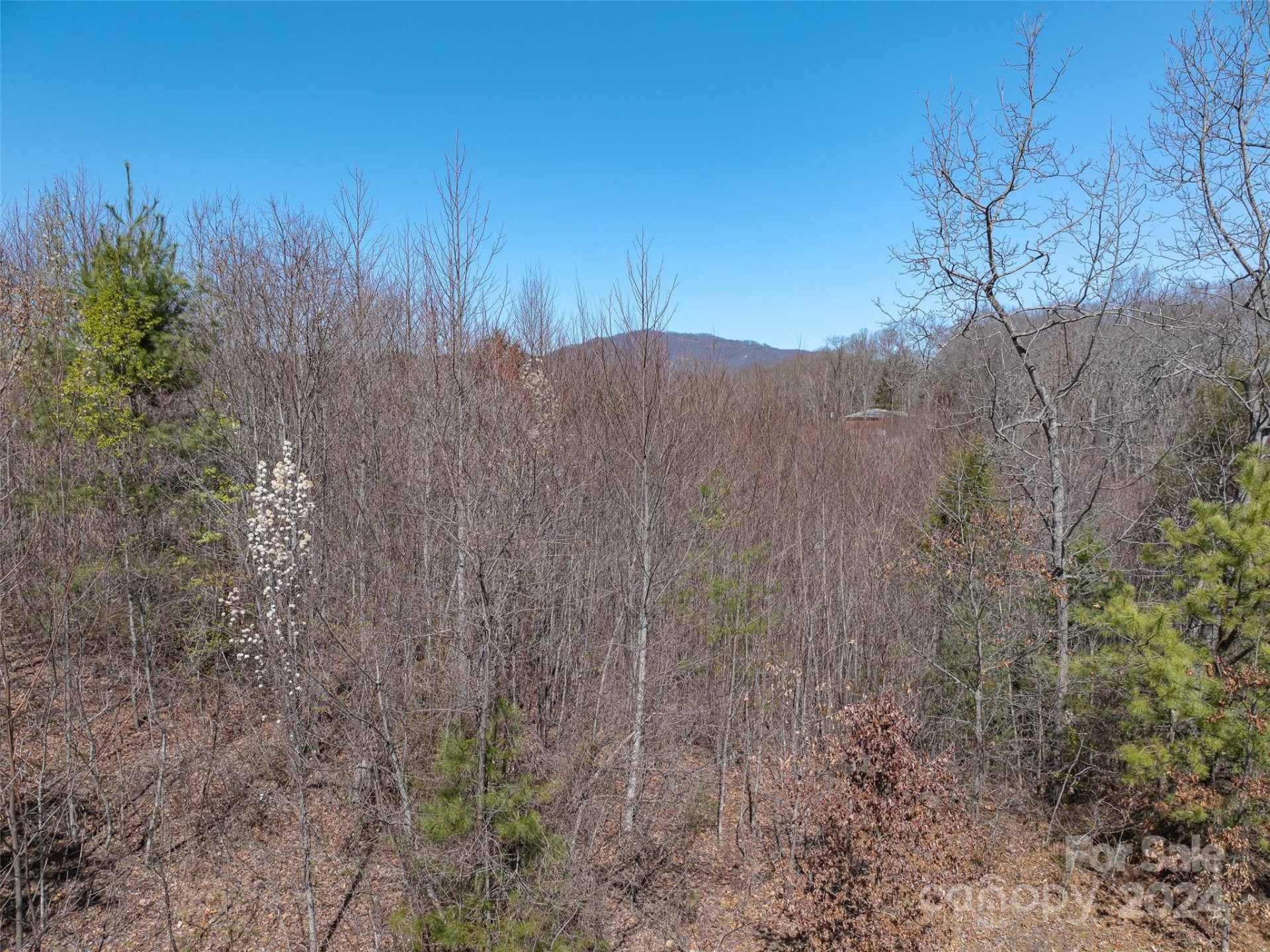 00 Woodland Drive - Photo 12