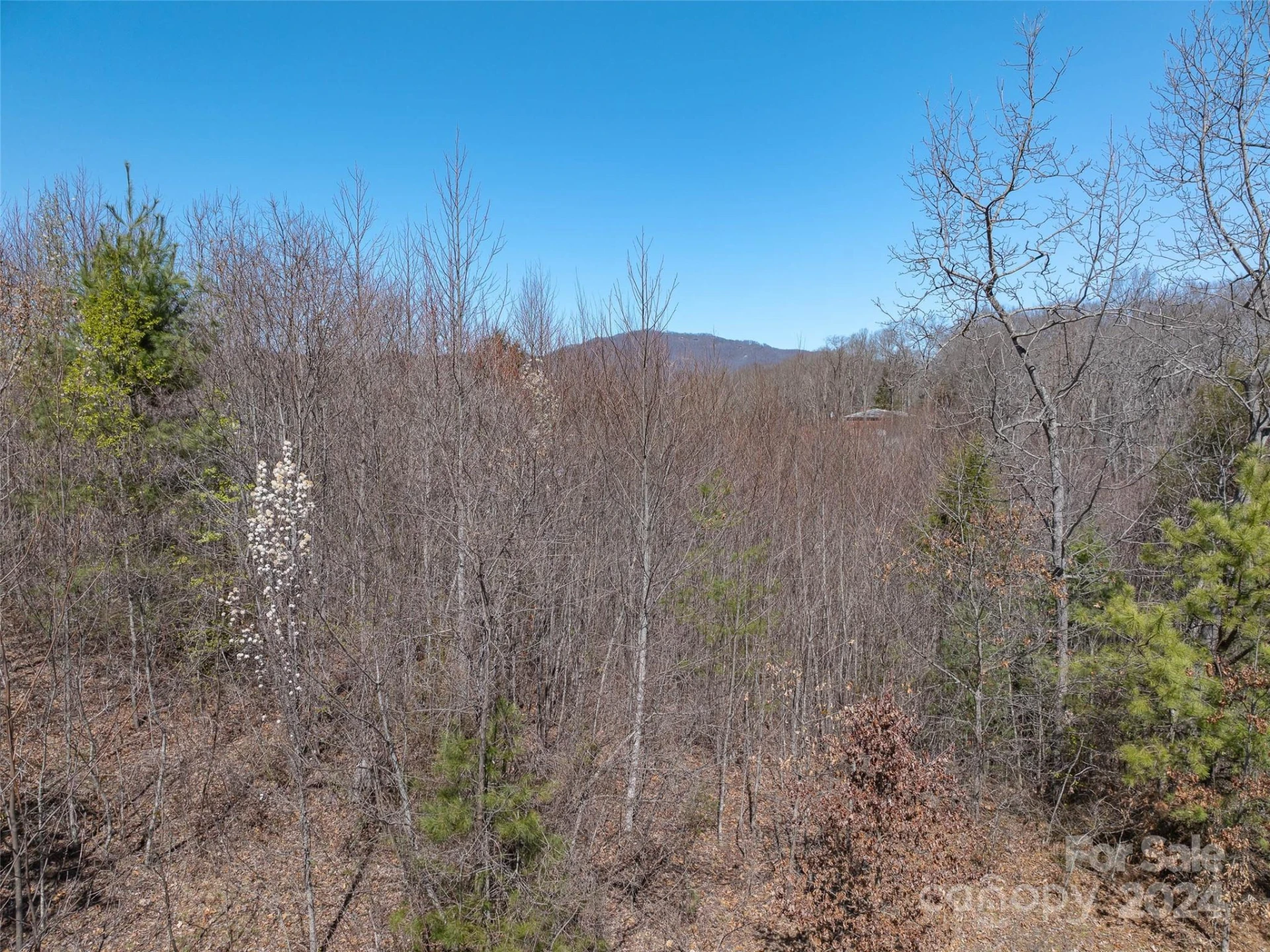00 Woodland Drive - Photo 12