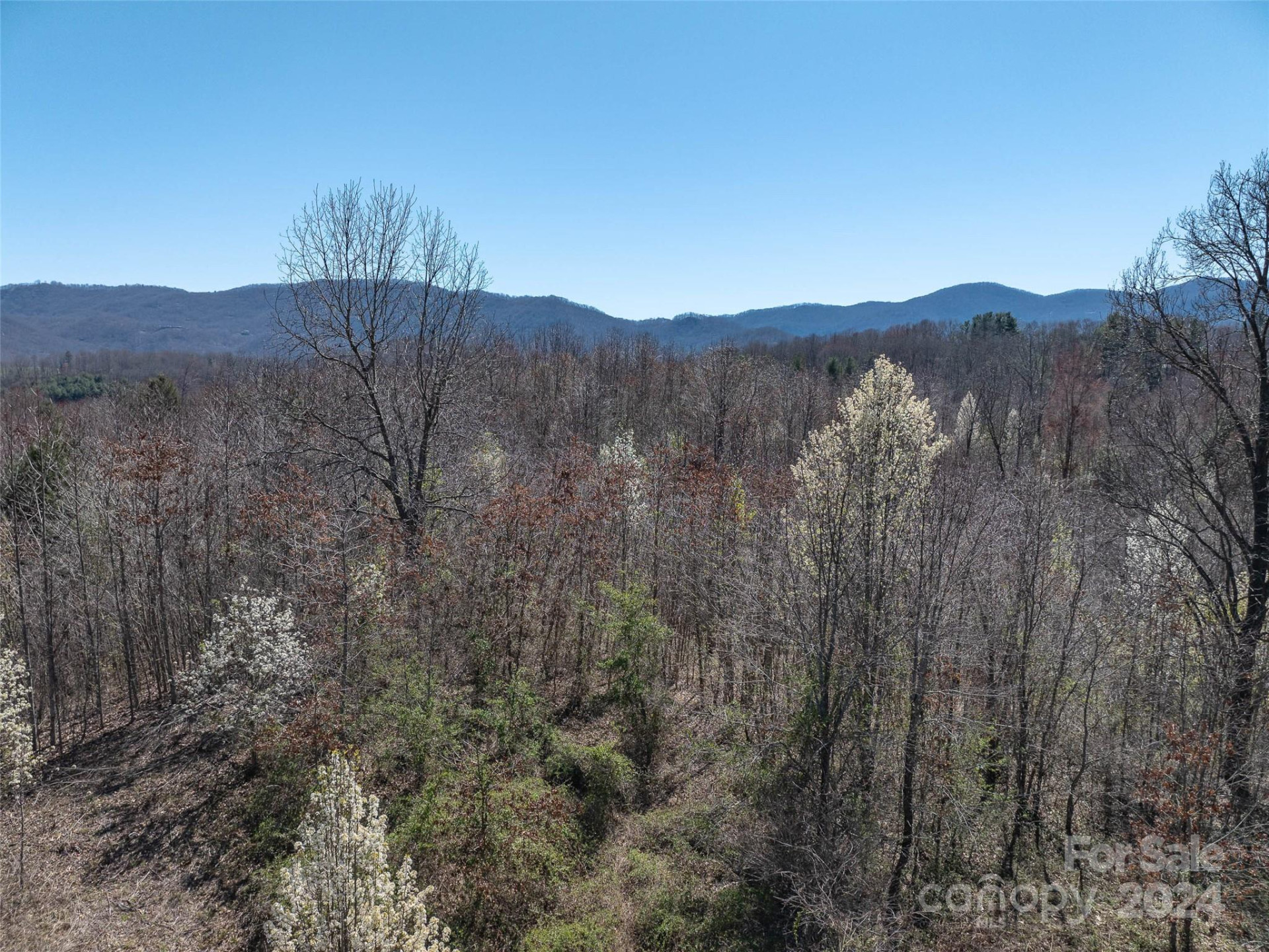 00 Woodland Drive - Photo 13