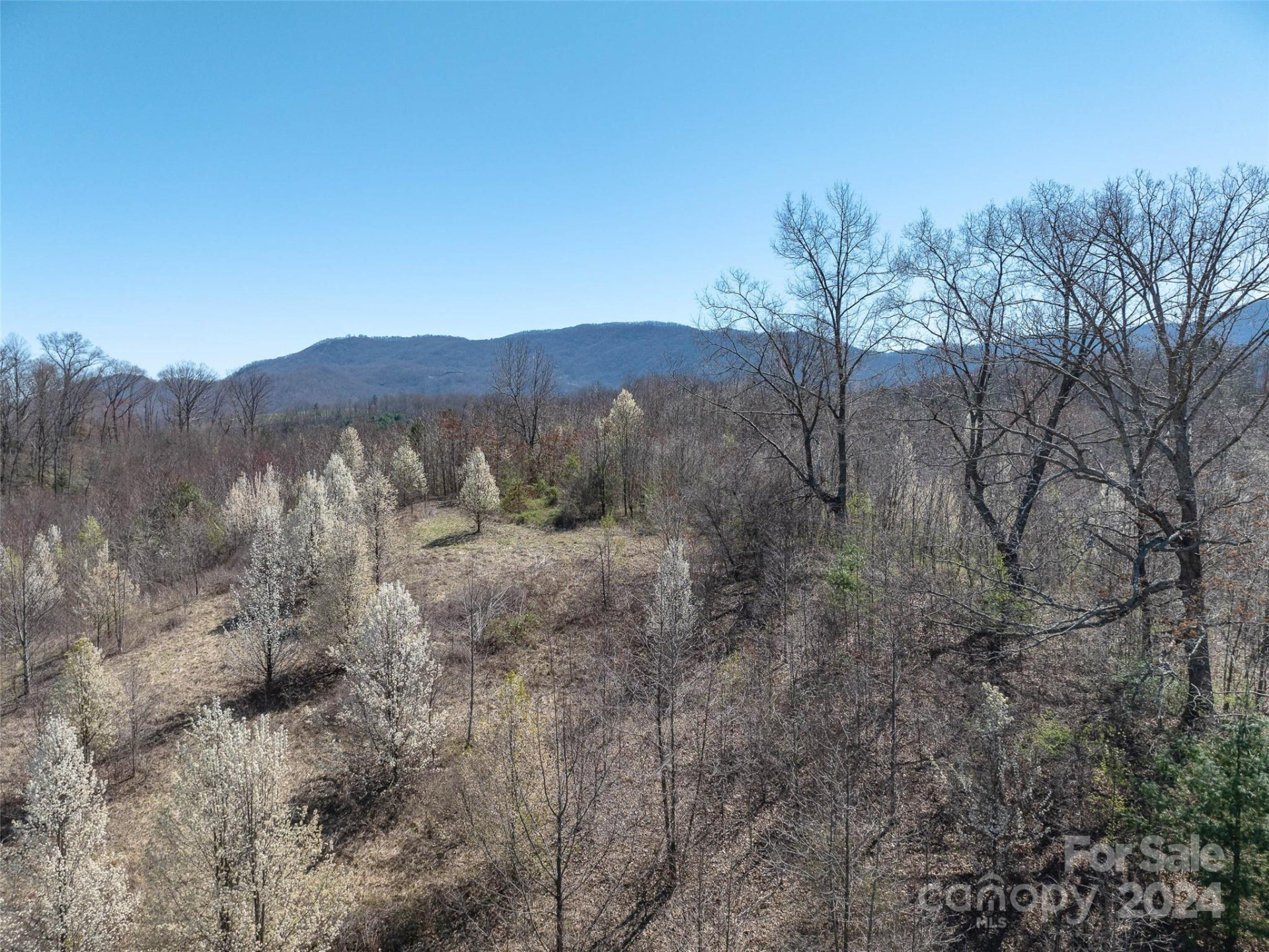 00 Woodland Drive - Photo 18