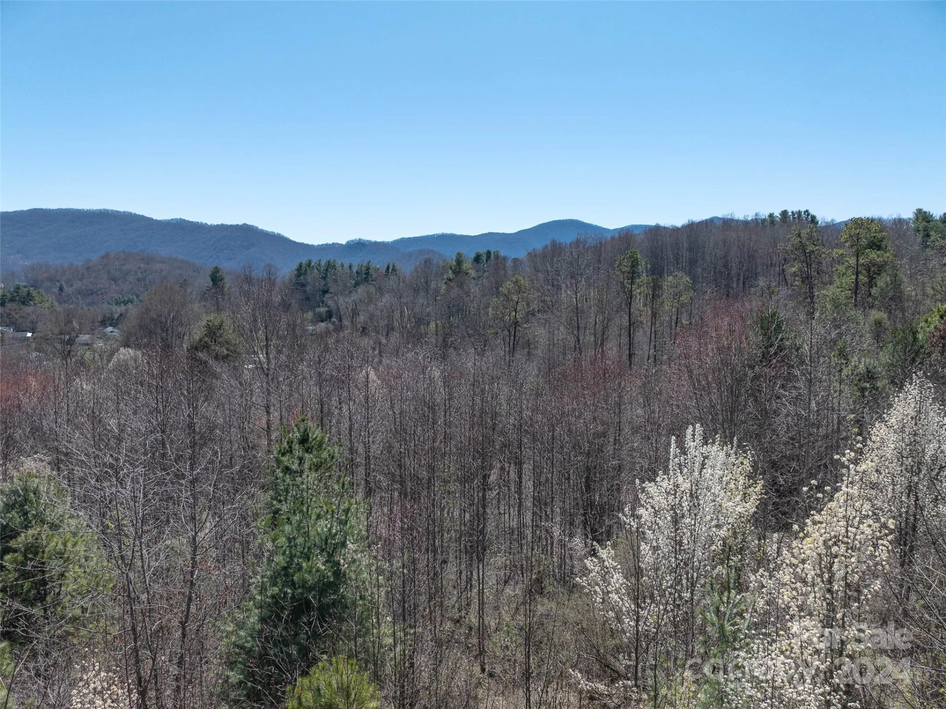 00 Woodland Drive - Photo 10