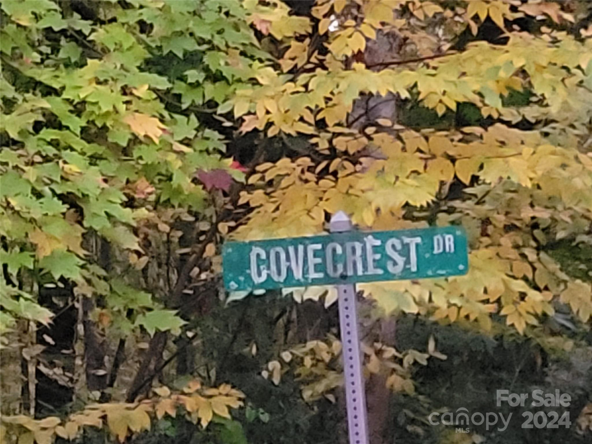 00 Covecrest Lane #10 - Photo 11