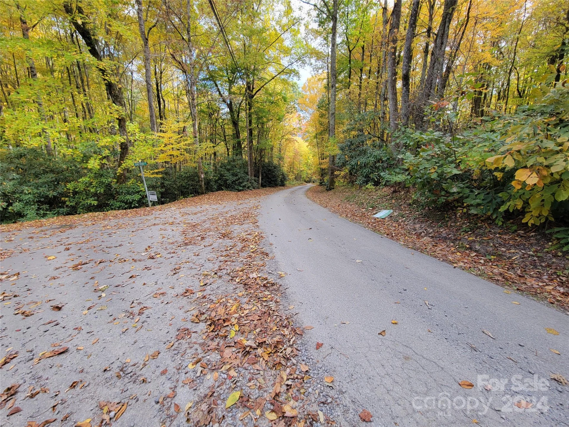 00 Covecrest Lane #10 - Photo 3