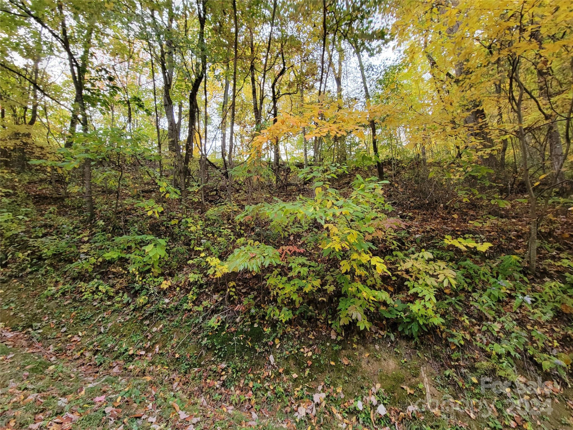 00 Covecrest Lane #10 - Photo 4