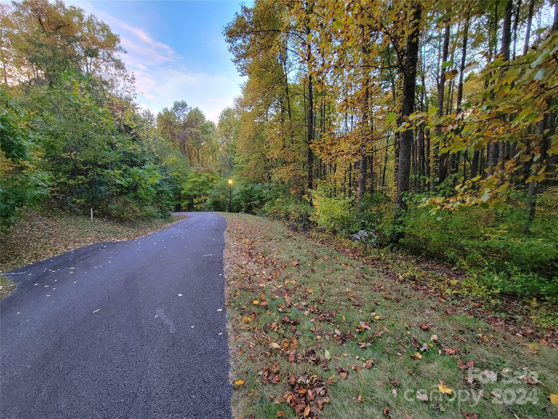 00 Covecrest Lane #10 - Photo 6