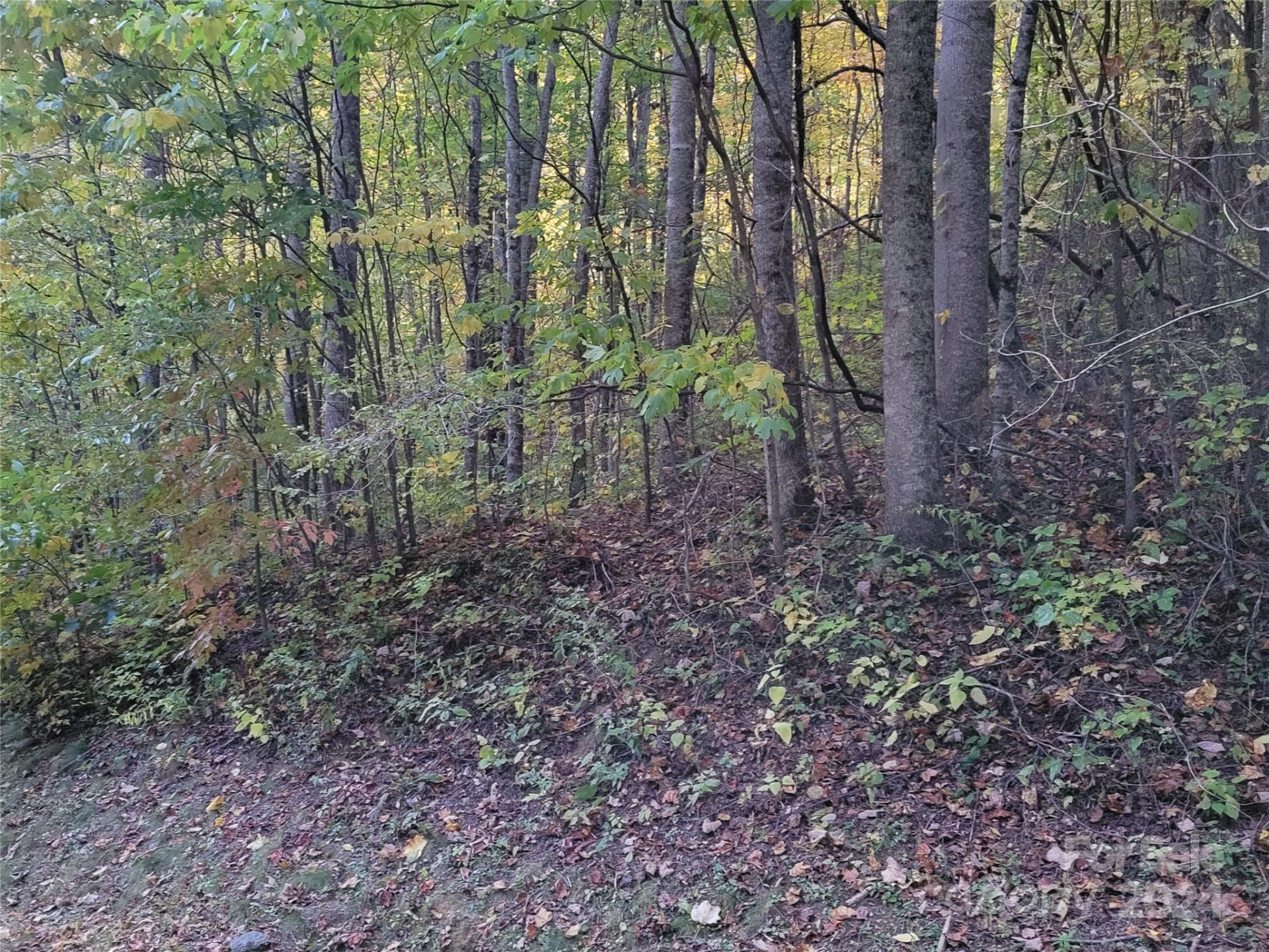 00 Covecrest Lane #10 - Photo 7