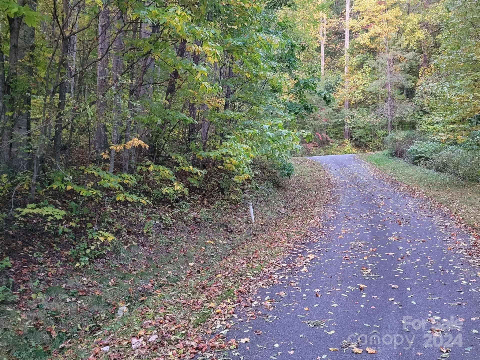 00 Covecrest Lane #10 - Photo 8