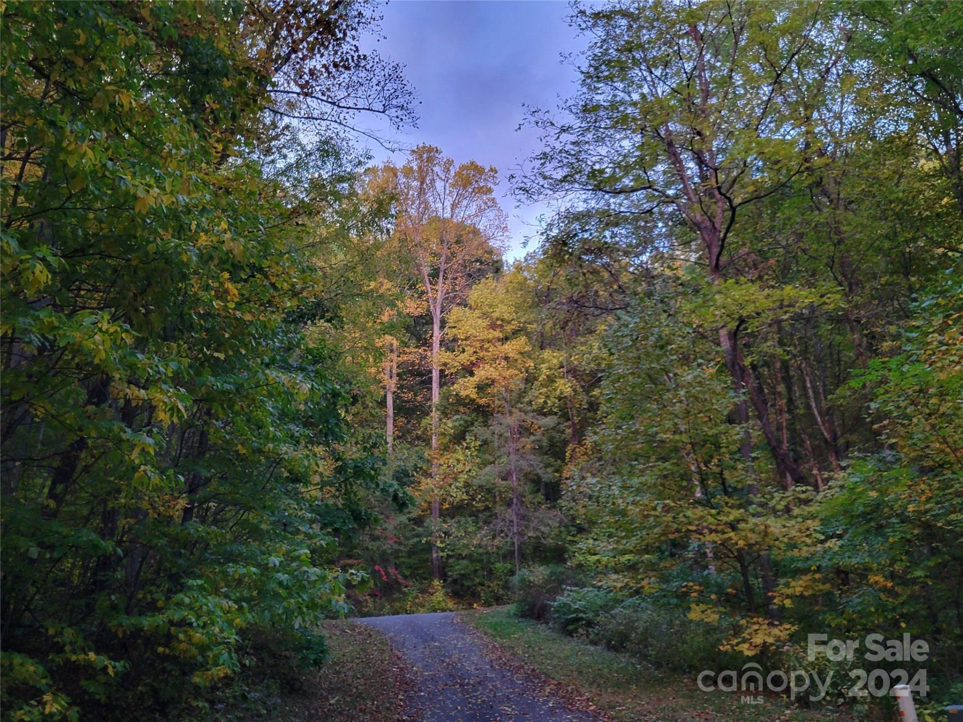 00 Covecrest Lane #10 - Photo 9