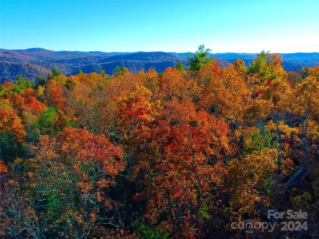 Lot D1 and D2 000 Dogwood Lane, Penrose, NC, 28766