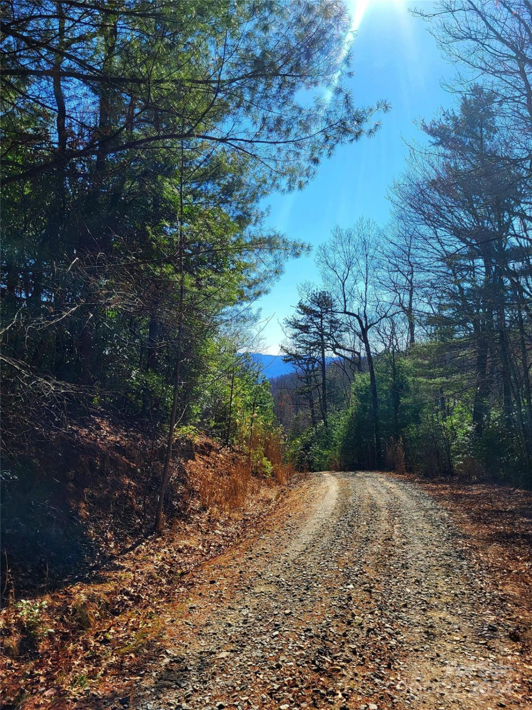 Lot D1 and D2 000 Dogwood Lane - Photo 2