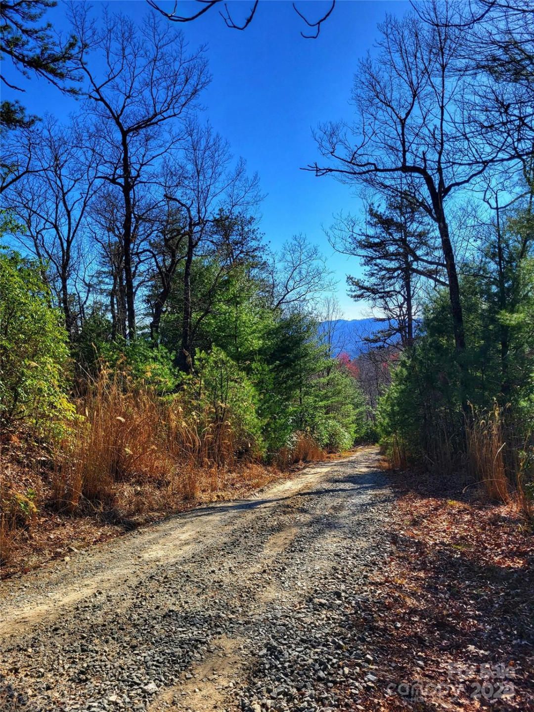 Lot D1 and D2 000 Dogwood Lane - Photo 3