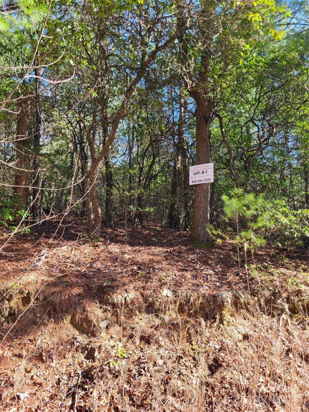 Lot D1 and D2 000 Dogwood Lane - Photo 4