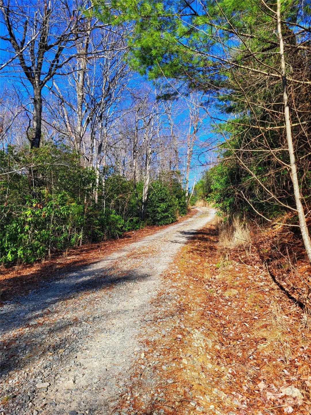 Lot D1 and D2 000 Dogwood Lane - Photo 6