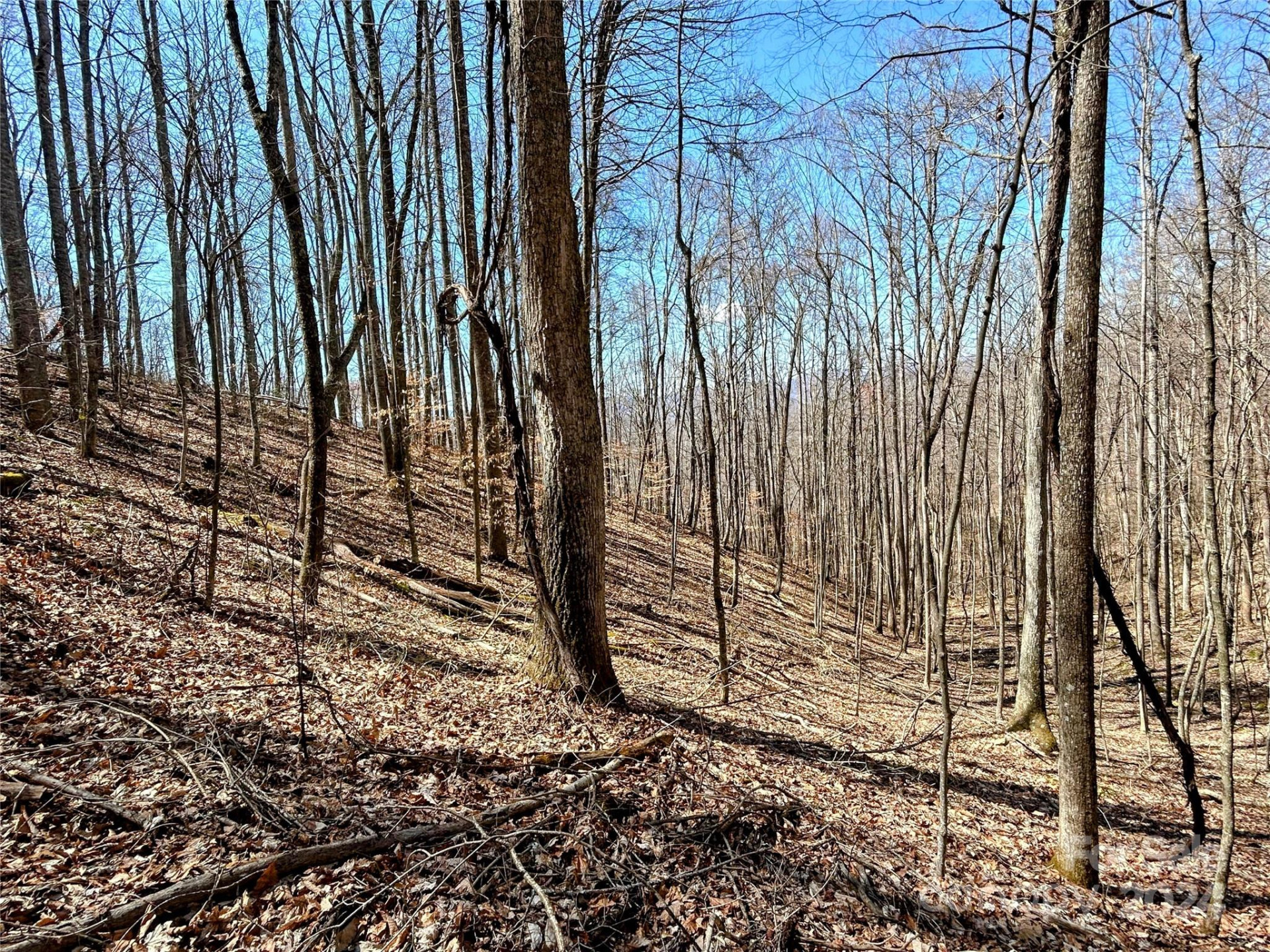 Lot 15 Red Wolf Run #15 - Photo 2