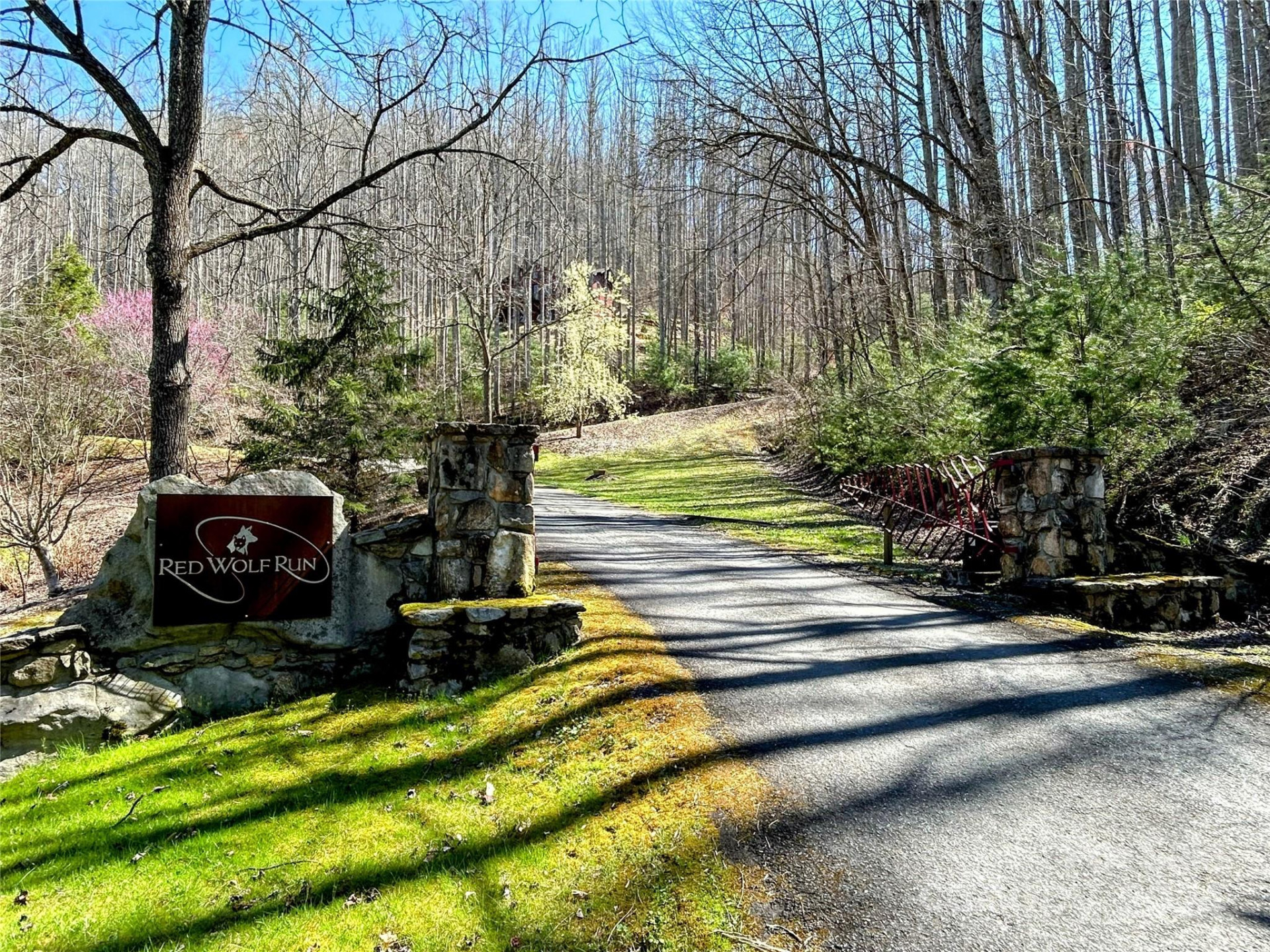 Lot 15 Red Wolf Run #15 - Photo 14