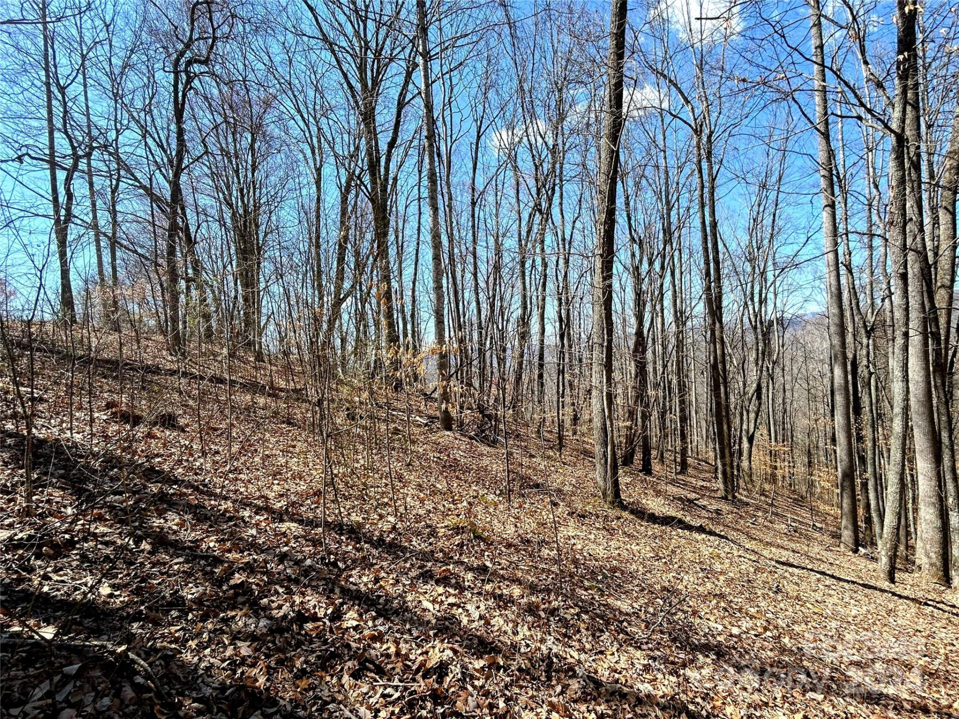 Lot 15 Red Wolf Run #15 - Photo 4