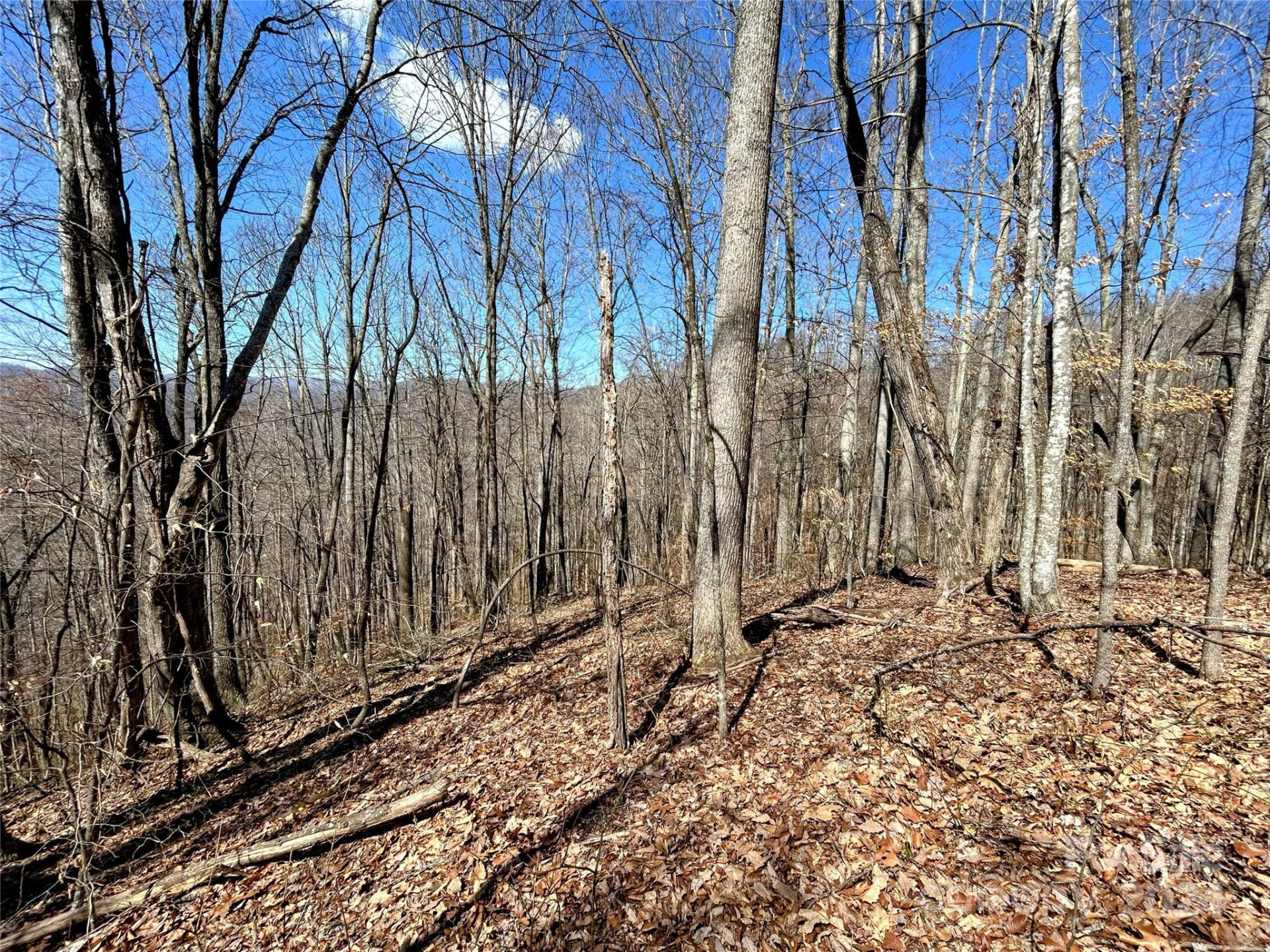 Lot 15 Red Wolf Run #15 - Photo 5