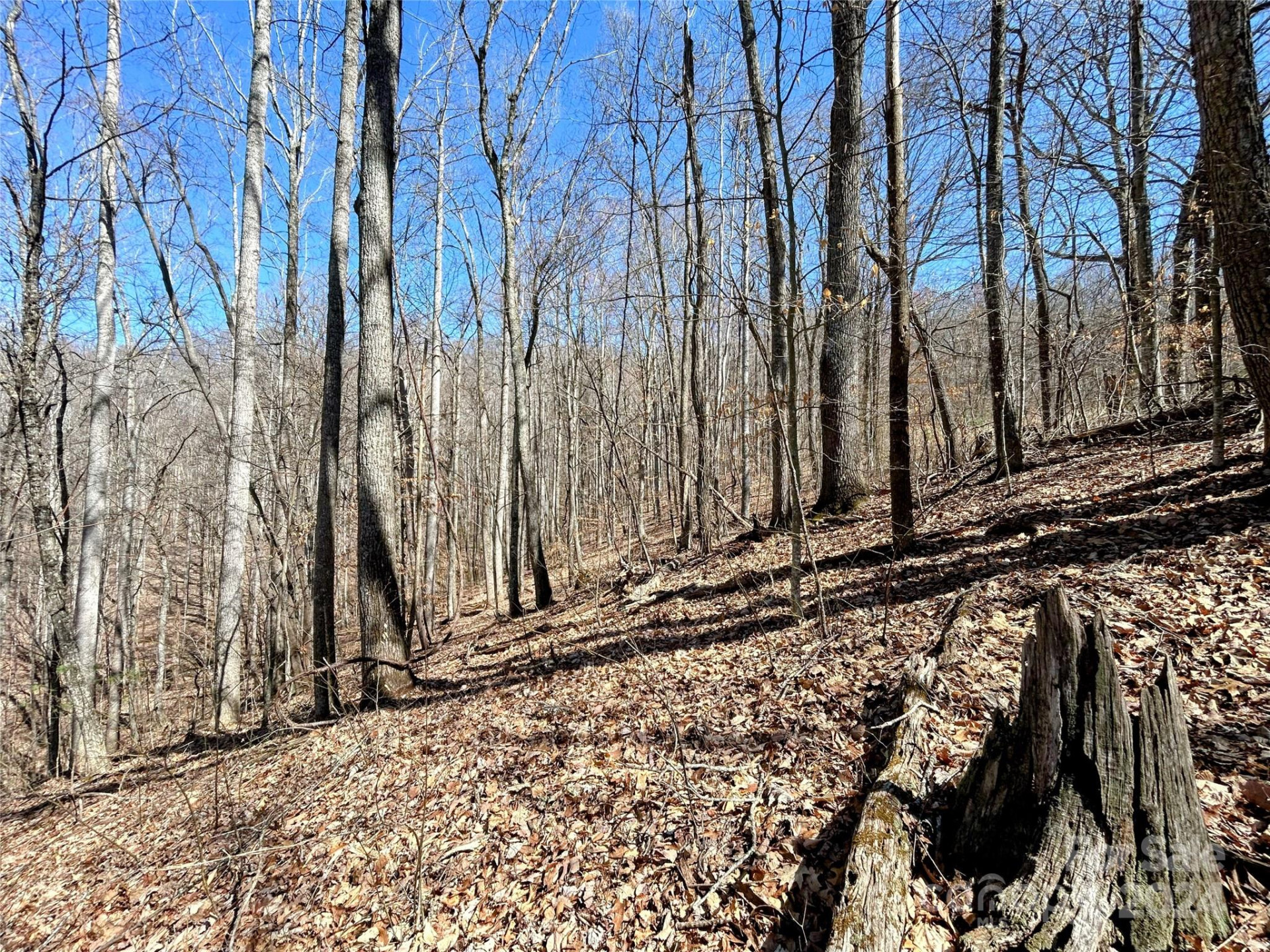 Lot 15 Red Wolf Run #15 - Photo 6