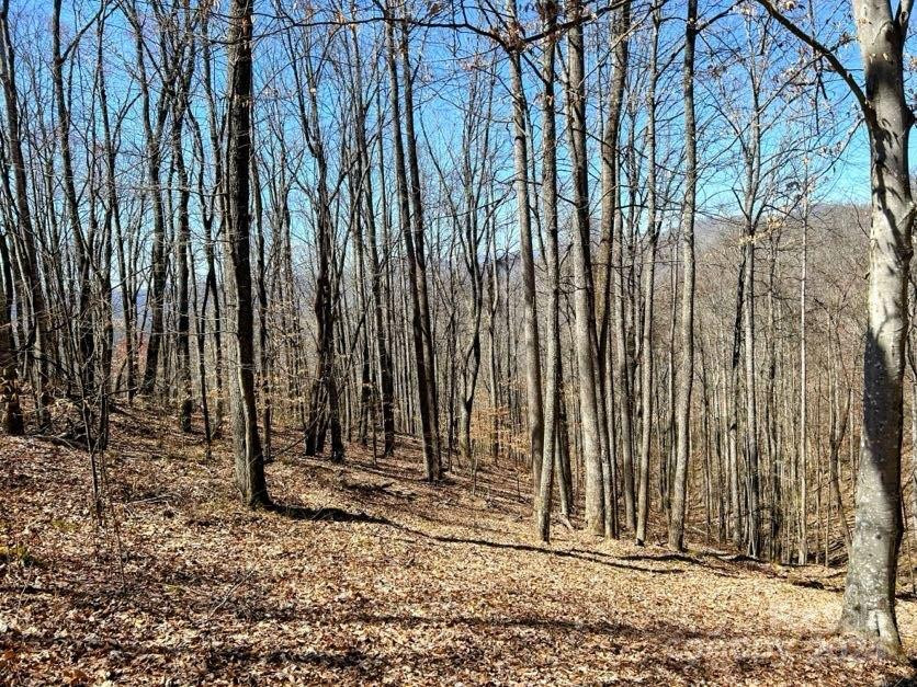 Lot 15 Red Wolf Run #15 - Photo 7