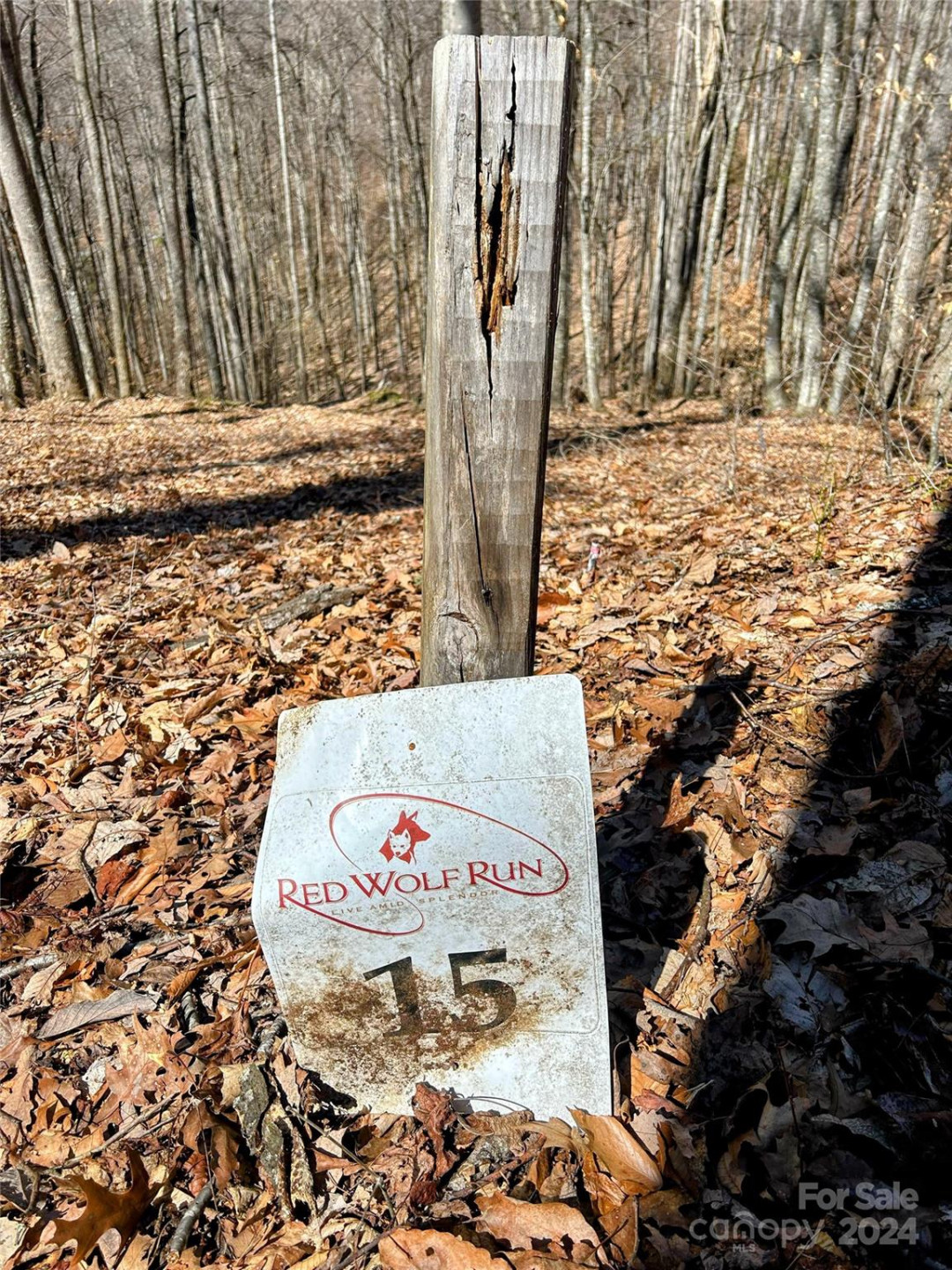 Lot 15 Red Wolf Run #15 - Photo 8