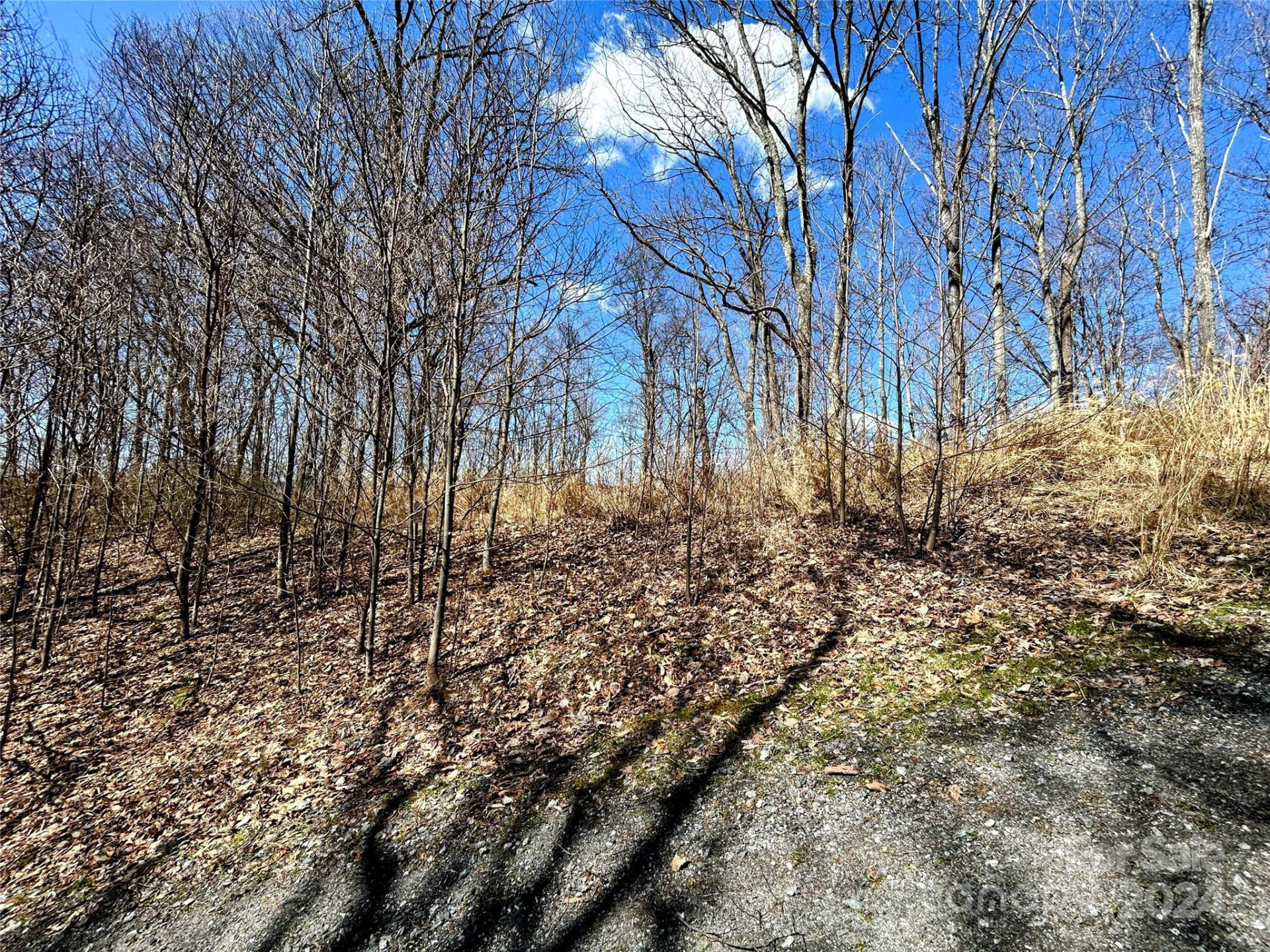 Lot 15 Red Wolf Run #15 - Photo 9