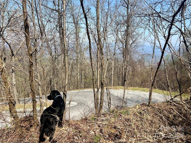 858 Mitchell View Drive, Old Fort, NC, 28762