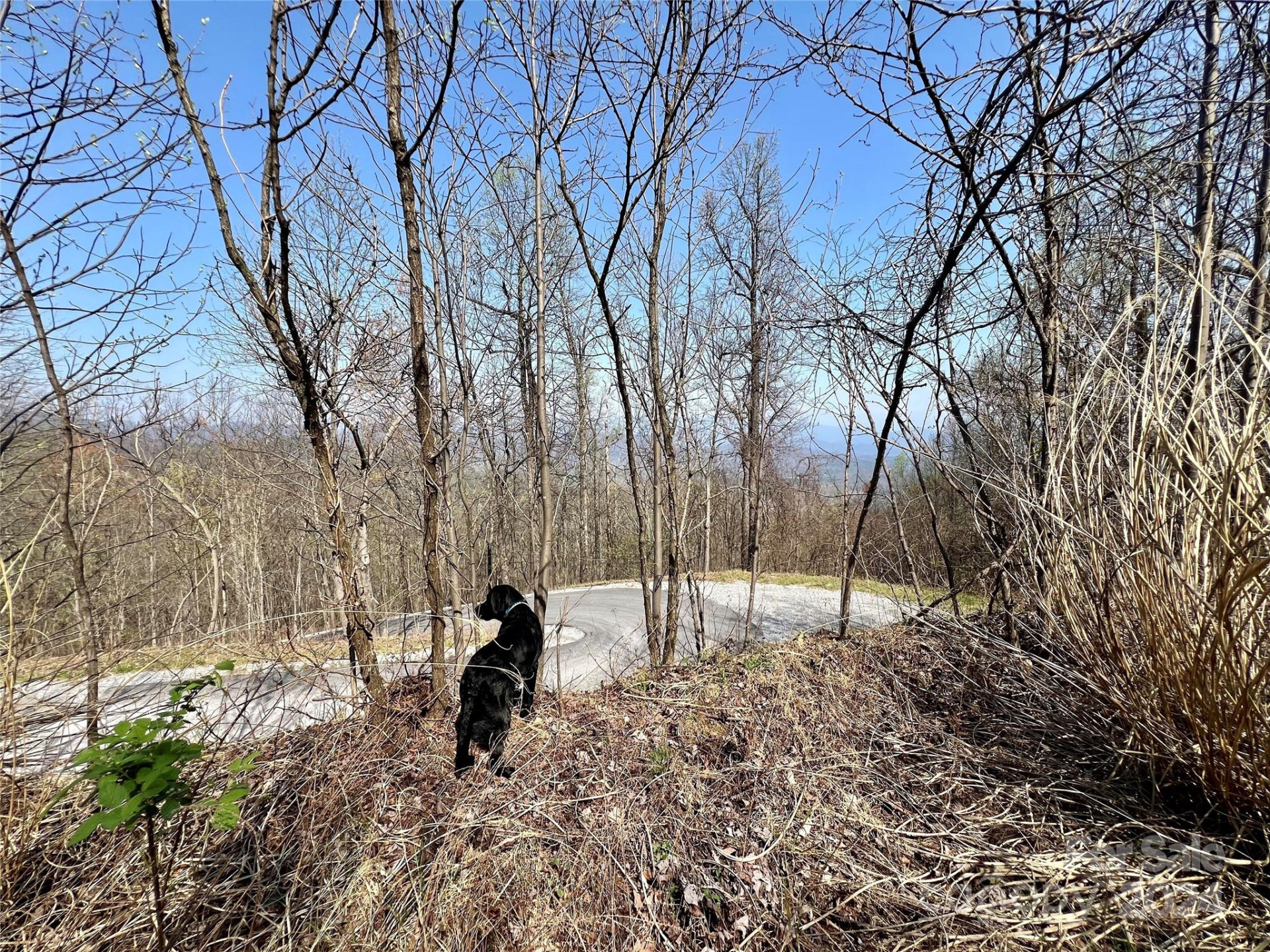 858 Mitchell View Drive #858 - Photo 2