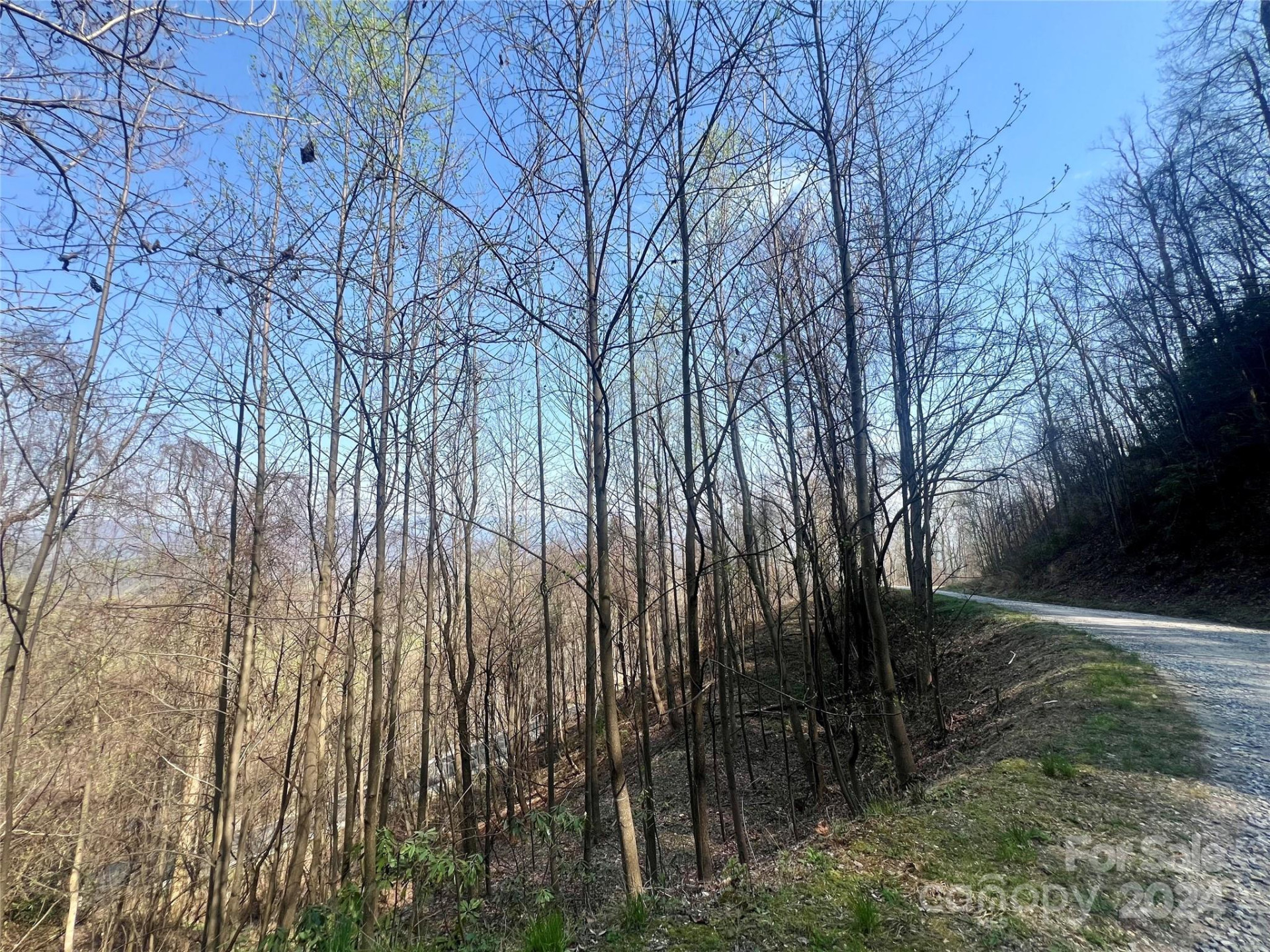 858 Mitchell View Drive #858 - Photo 11