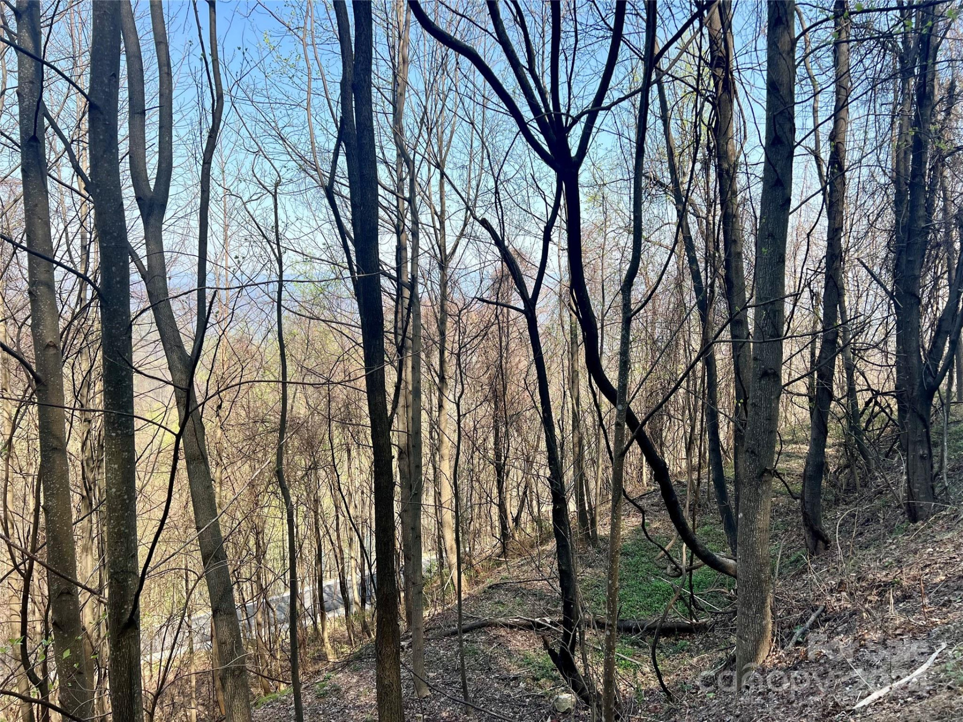 858 Mitchell View Drive #858 - Photo 13