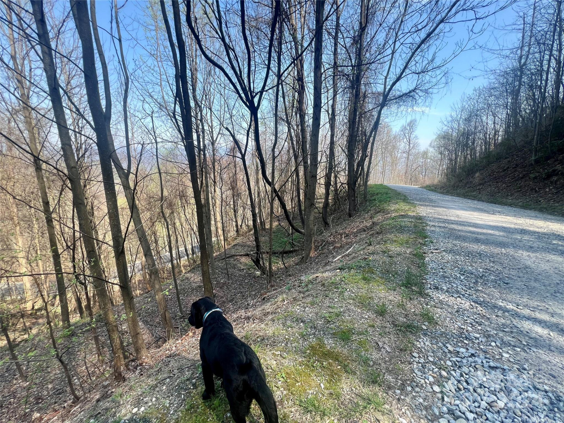 858 Mitchell View Drive #858 - Photo 14