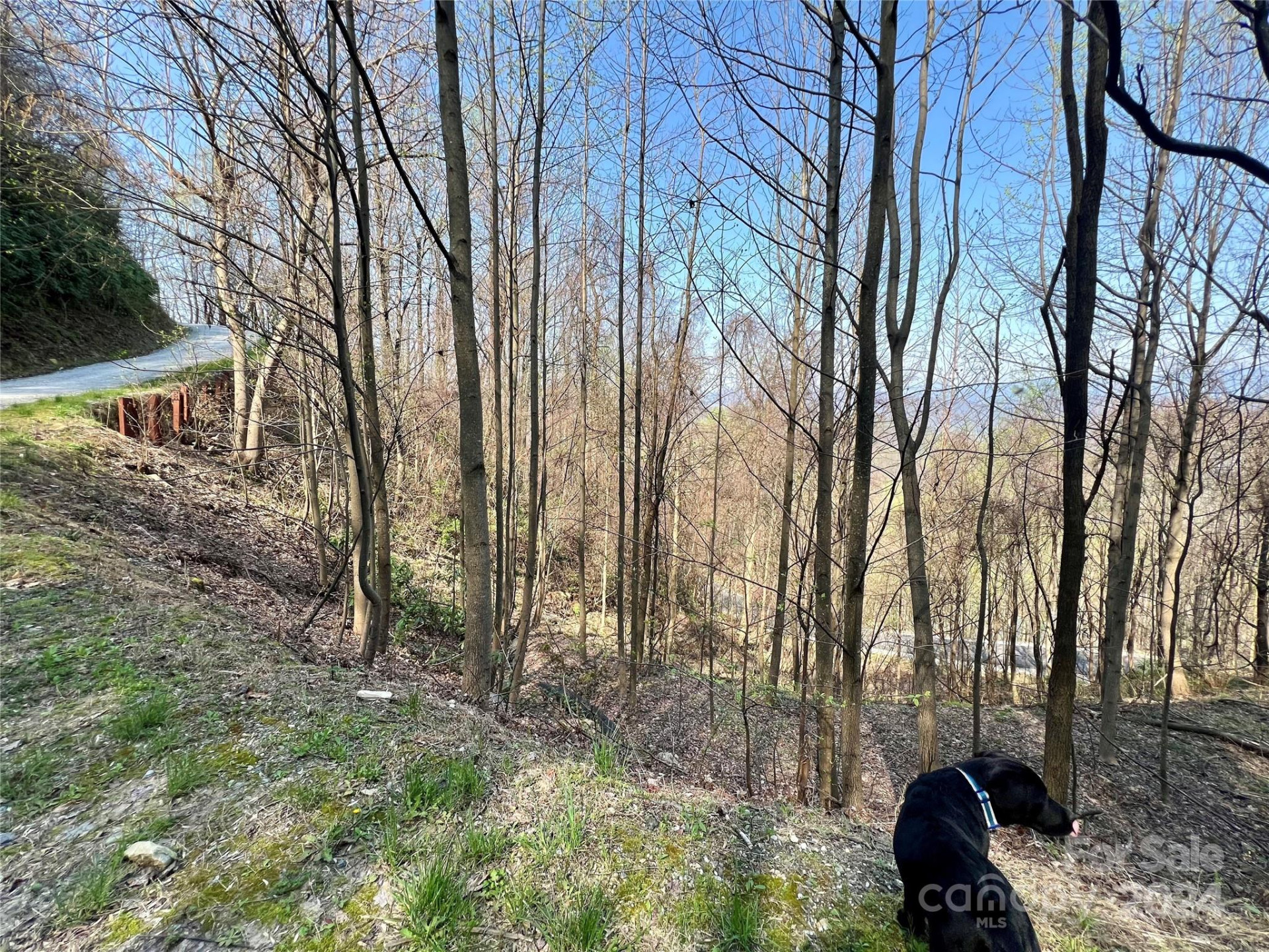 858 Mitchell View Drive #858 - Photo 15