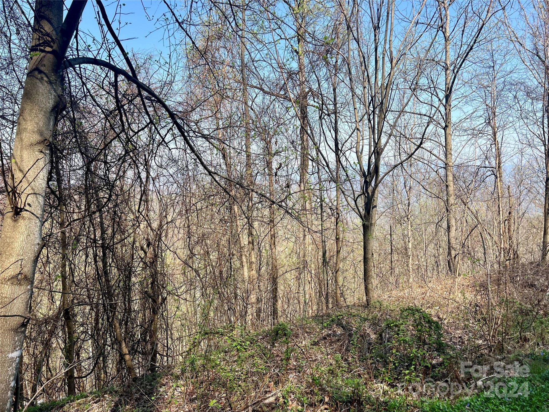 858 Mitchell View Drive #858 - Photo 16